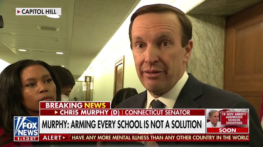 Senate debates gun rights in wake of shootings