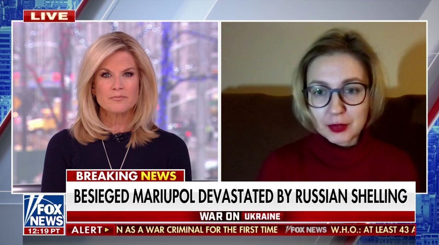 Ukrainian MP on Vladimir Putin: 'This Hitler of our time needs to be stopped'