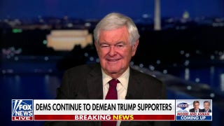 Newt Gingrich compares 'hysterical' Democrats' position to 'Custer's Last Stand' - Fox News