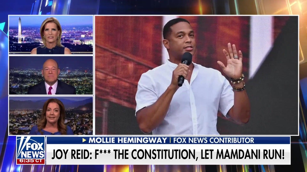 Democrats’ 2028 field is ‘wide open,’ Ari Fleischer says