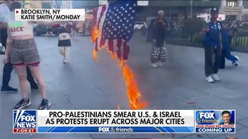 Anti-Israel protesters burn American flag in NYC