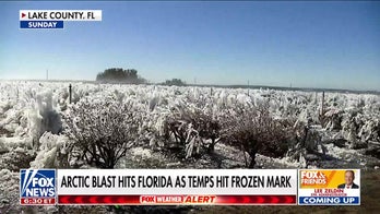 Expert unpacks Florida’s freezing weather, widespread power outages across US