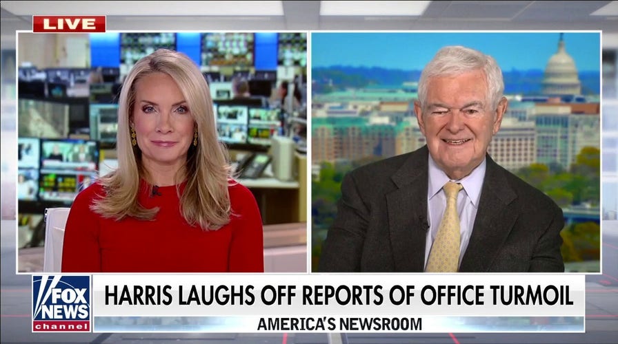 Newt Gingrich: Kamala Harris is totally unfit to be vice president