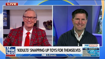 Toy purchases for adults fueling industry growth