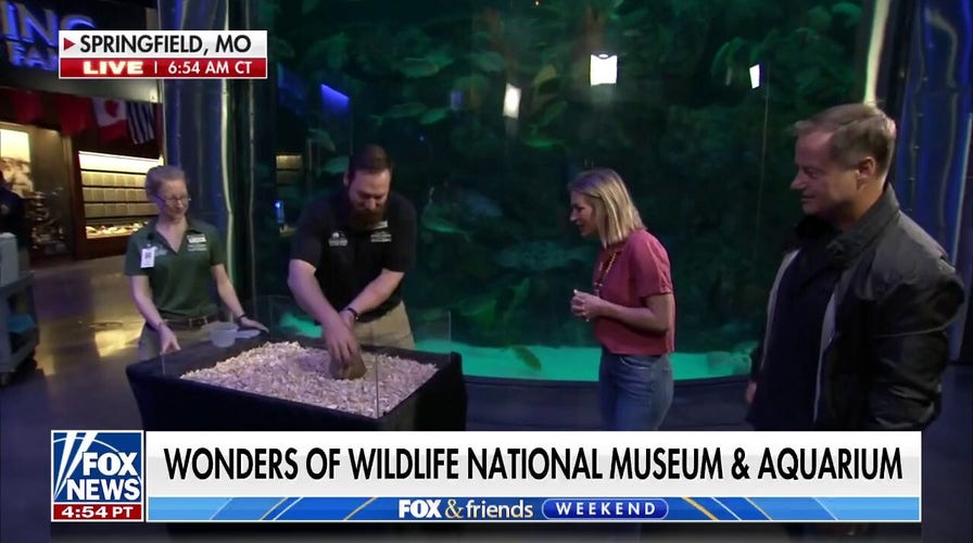 Fox News' Rick Reichmuth heads to 'Wonders of Wildlife' to celebrate Bass Pro Shops' 50 years in business