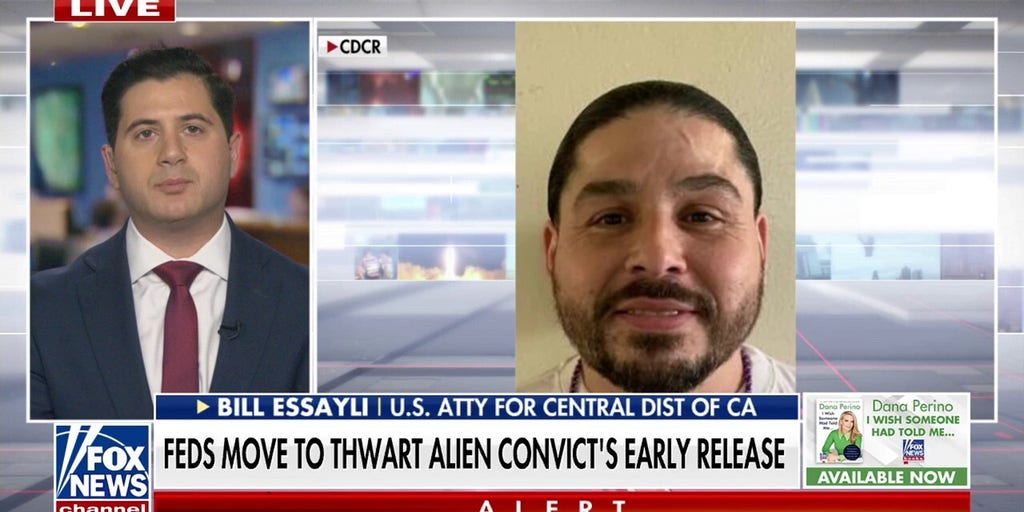 Gavin Newsom is 'solely responsible' for convicted illegal immigrant's early release, says US attorney