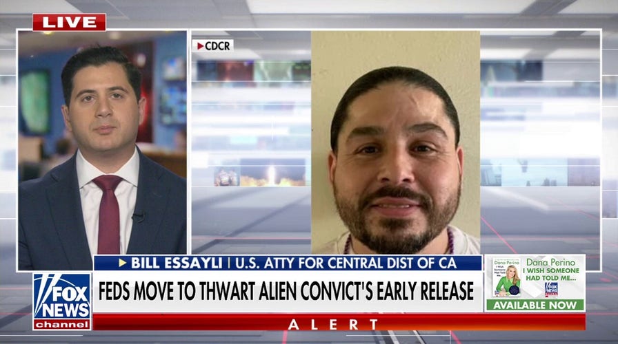 Gavin Newsom is 'solely responsible' for convicted illegal immigrant's early release, says US attorney