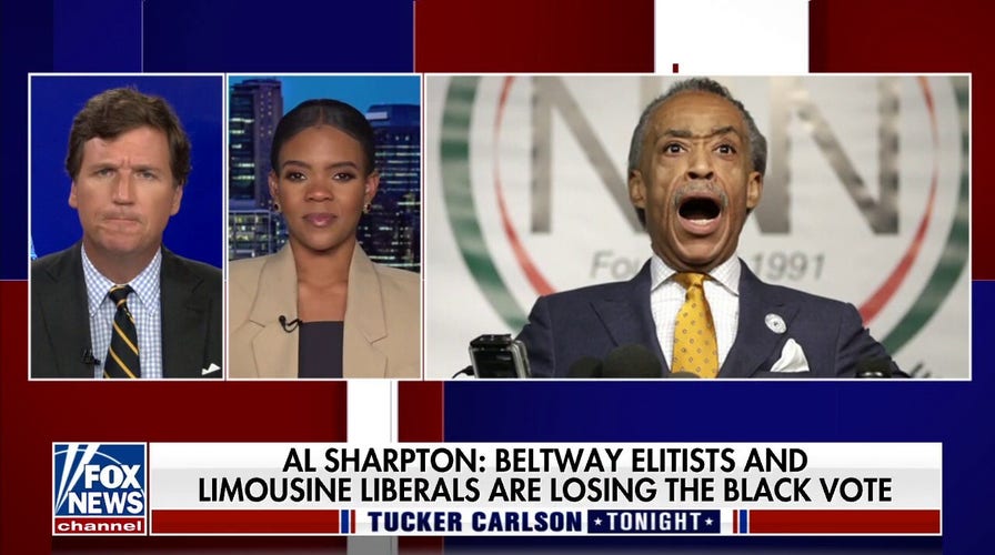 Candace Owens laces into MSNBC host Al Sharpton's hypocrisy
