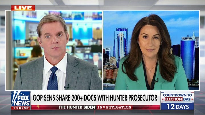 Miranda Devine: Sens. Grassley, Johnson are 'unsung heroes' of Hunter Biden investigation