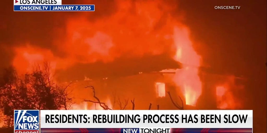 LA residents shoulder fire fighting burden themselves after 2025 Palisades fire