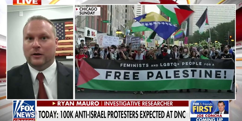 Expert reveals new findings surrounding anti-Israel protests at DNC: 'Really extreme stuff'