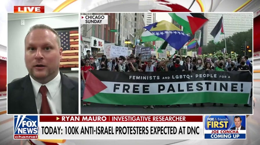 Expert reveals new findings surrounding anti-Israel protests at DNC: 'Really extreme stuff'