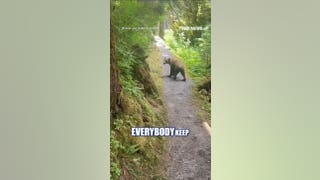 WATCH: Hikers have TERRIFYING encounter with grizzly bear