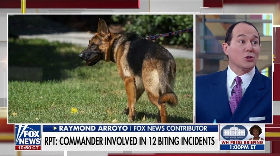 Raymond Arroyo: Why are the Biden dogs so aggressive?