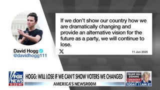 DNC vice chair David Hogg pushed out after months of party turmoil