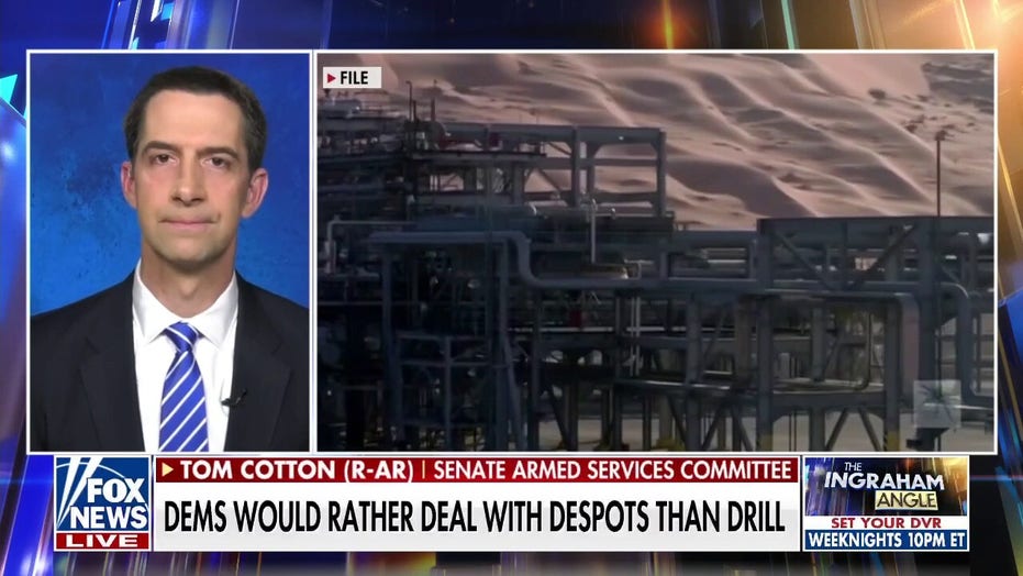 Sy. Tom Cotton calls to 'ban the import of Russian oil and gas'