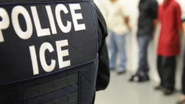 Federal judge in Miami has no jurisdiction over ICE detention practices, lawyers claim