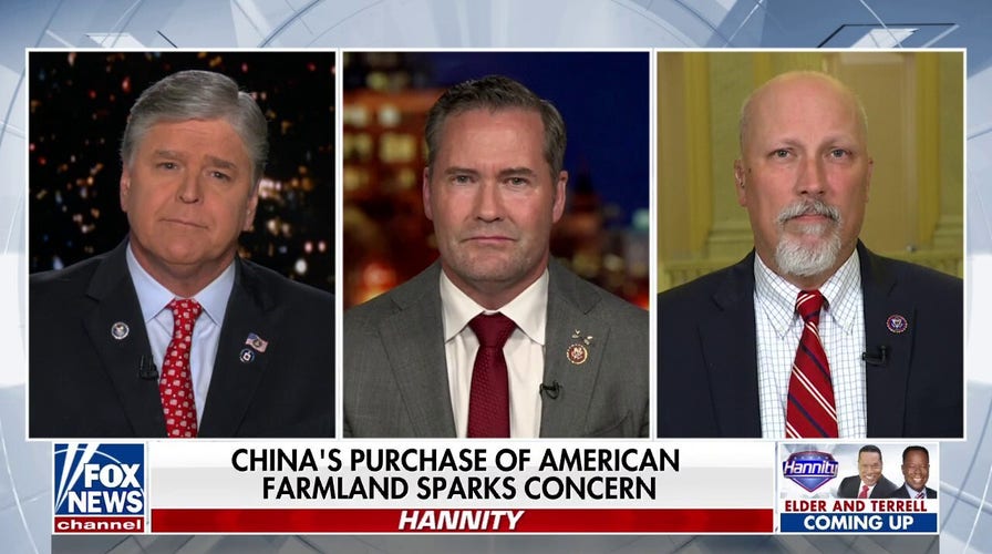 GOP lawmaker says the country needs to 'wake up' over 'extremely concerning' purchases of farmland by China