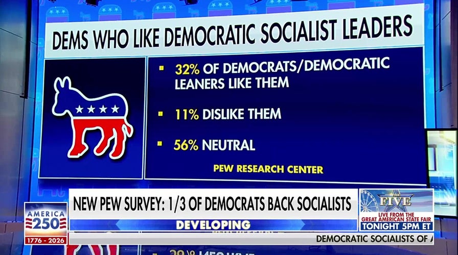 Karl Rove: Socialists are winning in ‘deep blue districts’