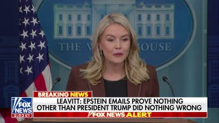 Leavitt: Democrats' release of Epstein emails is a 'distraction' to the government reopening - Fox News