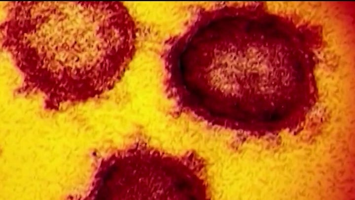 Florida reports second highest one-day coronavirus infection rate