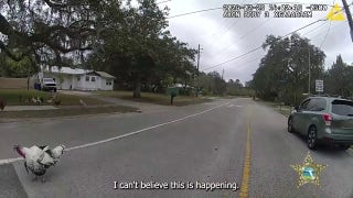 Florida deputy ‘attacked’ by roadside turkeys during traffic stop - Fox News