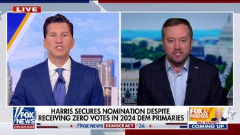 Democratic Party went from an ‘Irish wake to a wedding’: Kevin Walling