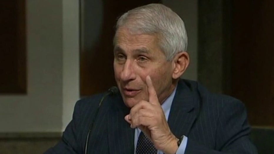 Fauci 'absolutely Not' Surprised Trump Got COVID-19 | Fox News