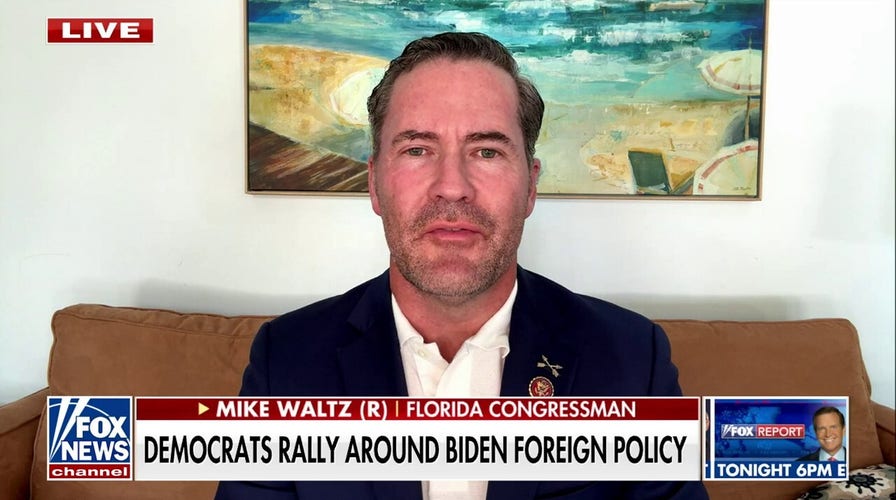 Rep. Mike Waltz warns that European security 'gravy train' will be over come November