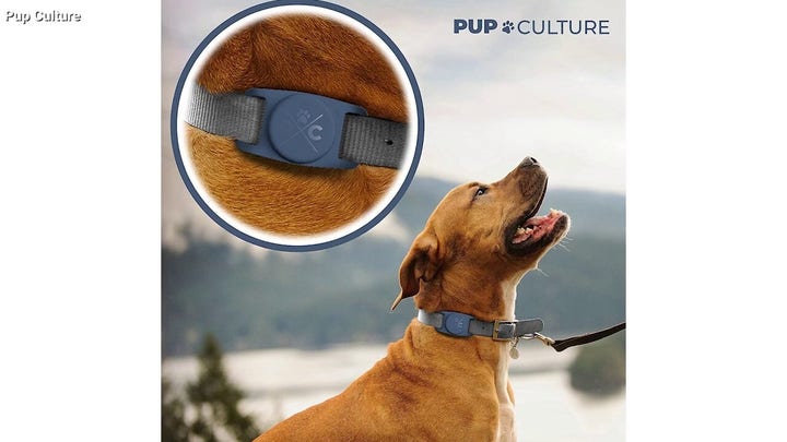Kurt "CyberGuy" Knutsson lists the best pet trackers