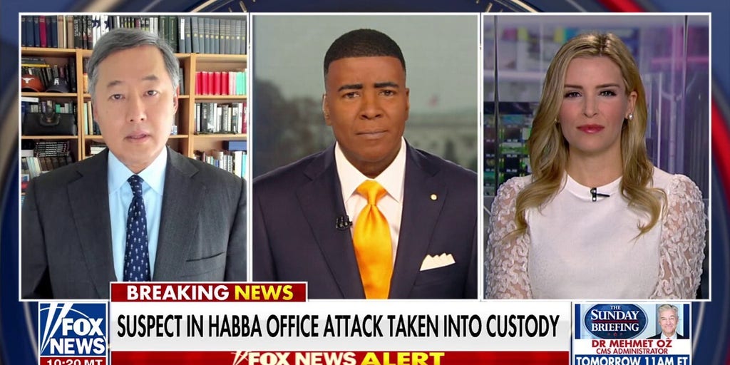 Suspect arrested in attack on Alina Habba’s law office