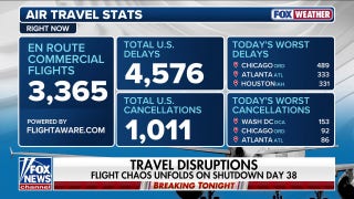 Travelers face flight delays as government shutdown reaches day 38
