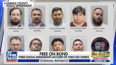 3 illegal immigrants accused of child sex crimes released on bond in Virginia