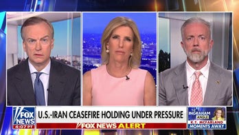 NATO allies in western Europe ride on America’s back for defense, says former Navy officer