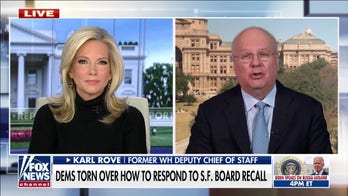 Karl Rove: Dems are going to face consequences at the polls for embracing woke movement