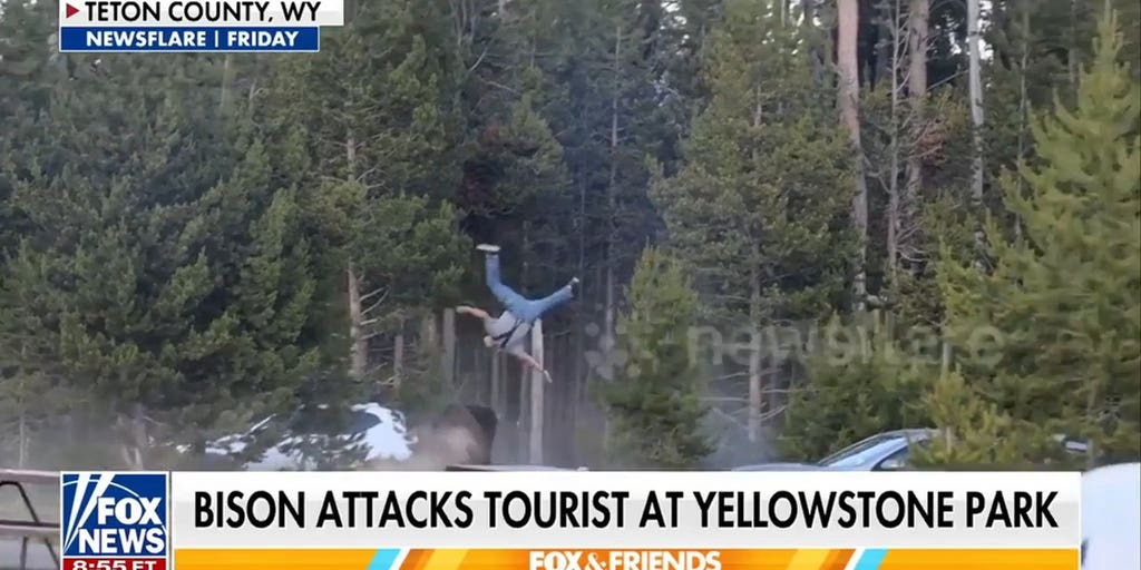 https://a57.foxnews.com/cf-images.us-east-1.prod.boltdns.net/v1/static/694940094001/6ca57688-a9a8-415b-96b9-ab6b8a793e37/98c2da67-ebb3-480f-95ab-e676ddb9dee7/1280x720/match/1024/512/image.jpg?ve=1&tl=1