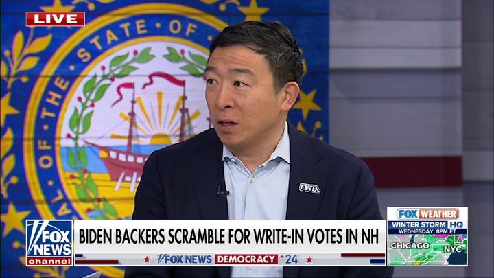 Andrew Yang predicts Biden challenger Dean Phillips will garner 'shocking number' of votes in New Hampshire