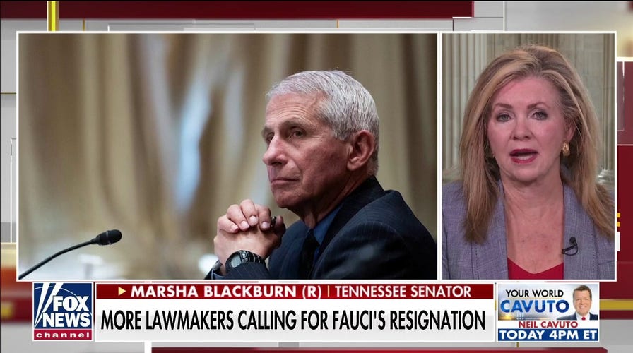 Fauci is using the media and Big Tech to build ‘PR campaign’ and deflect criticism: Blackburn