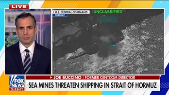 Iranian sea mines disrupt ships in the Strait of Hormuz