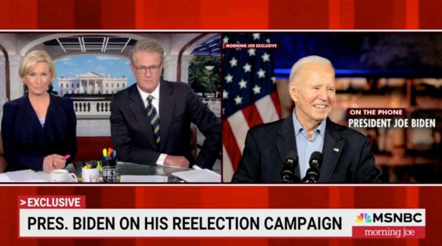 Biden rails against 'elites' in MSNBC phone interview