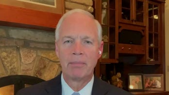 Sen. Ron Johnson: Hunter Biden made millions peddling influence