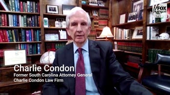 Six illegal immigrants charged in South Carolina mother's murder that 'shocks the conscience': former SC attorney general