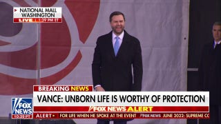 Vice President JD Vance: I want more babies in the USA - Fox News