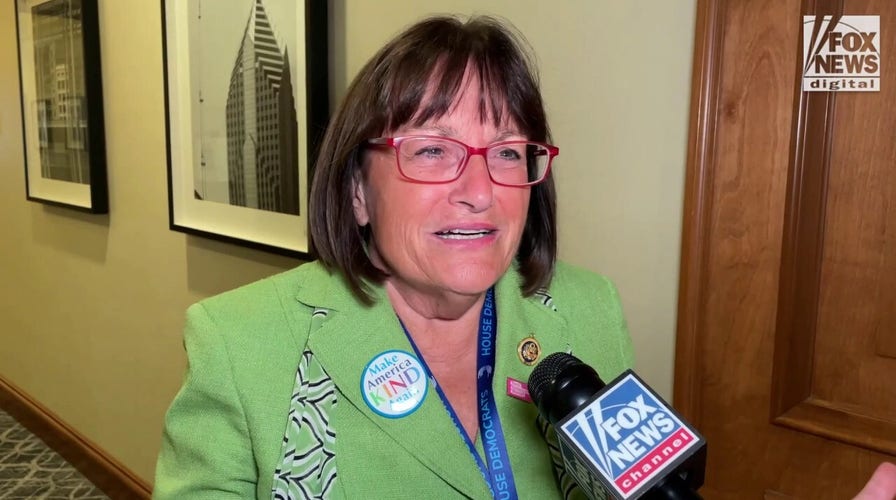 Rep. Annie Kuster speaks with Fox News Digital on enthusiasm for Kamala's ticket