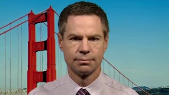 Environmental activist warns of 'dire' electricity crisis in California: 'Incompetence piled on ideology'