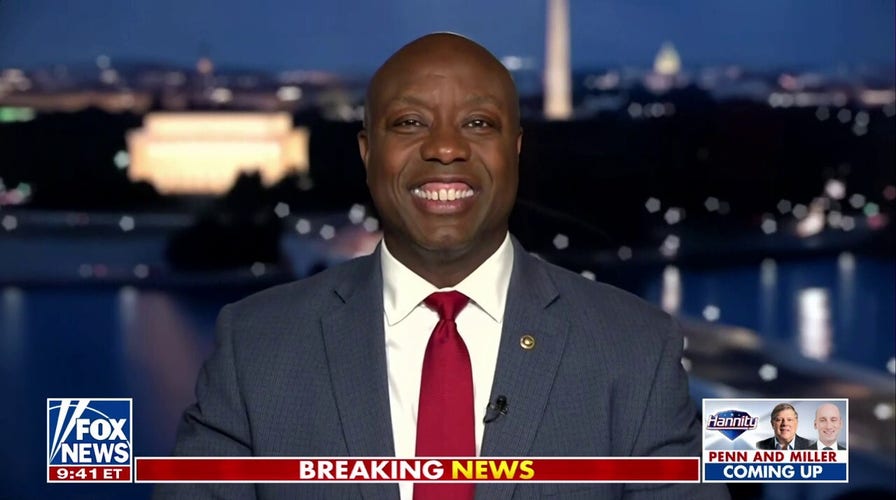 Democrats are in ‘full panic mode’: Sen. Tim Scott