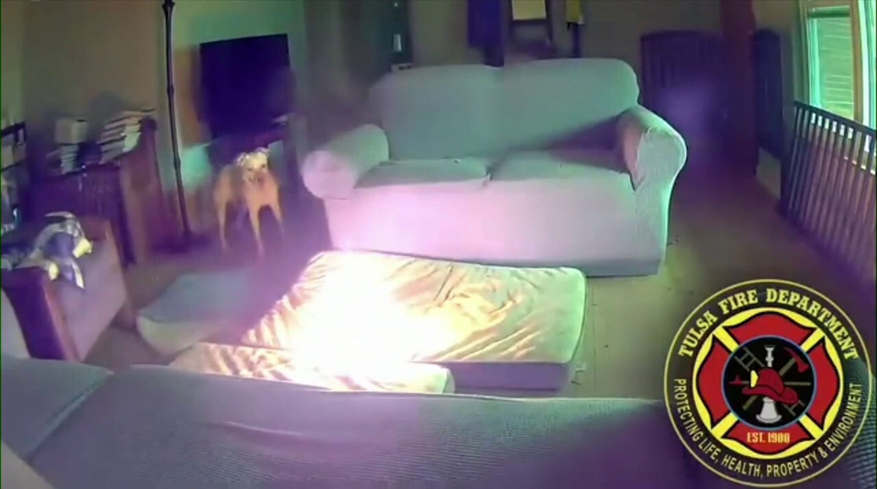 Dog's Lithium-Ion Battery Chew Sparks House Fire, Highlights Battery Safety Risks