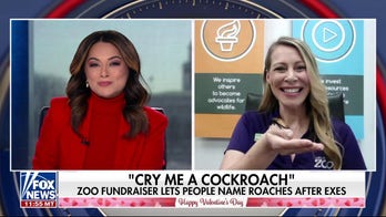 San Antonio Zoo lets visitors name a cockroach after their ex for Valentine’s Day