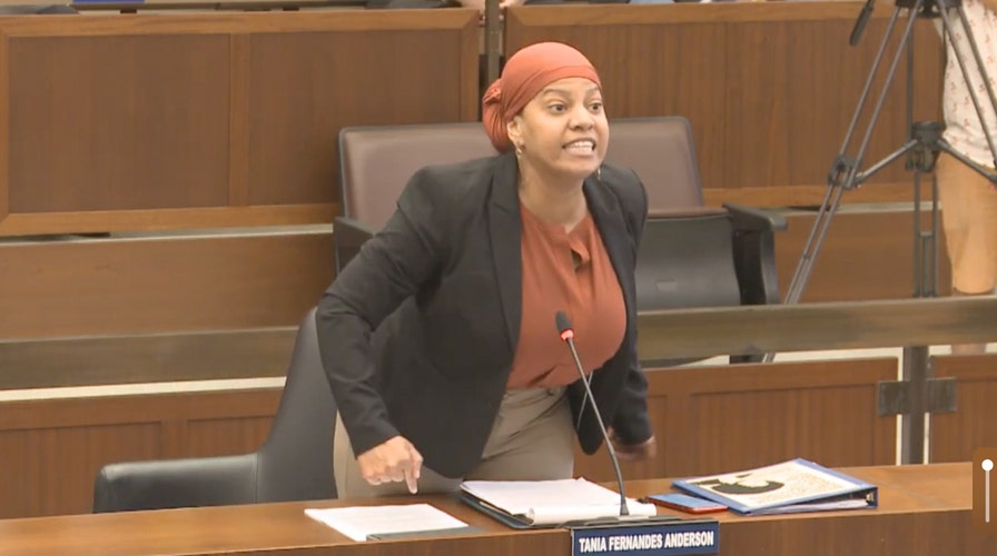 Boston Democrat city council member screams at 'f---ing council' in demand for respect 