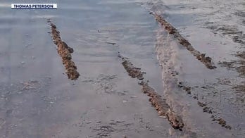 Man, grandson discover possible 19th-century shipwreck in Florida
